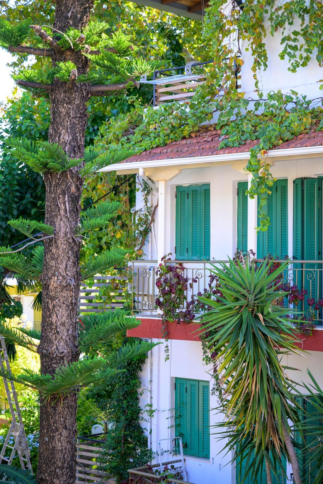 Ionian Paradise นีดรี ภายนอก รูปภาพ